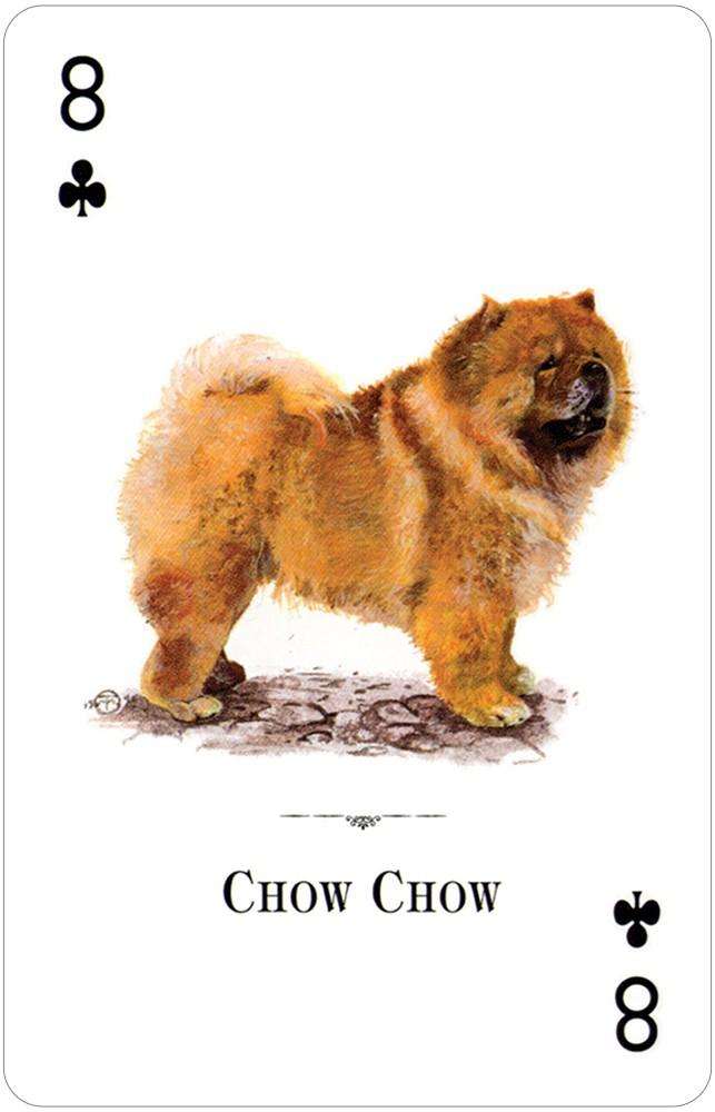 Dogs of the Natural World Playing Cards USGS - Image 3