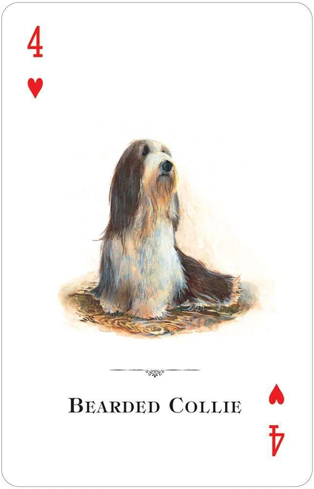 Dogs of the Natural World Playing Cards USGS - Image 4