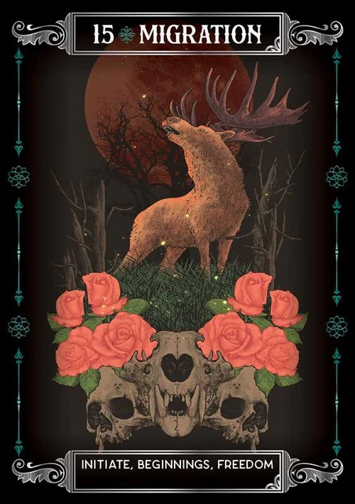 Earth & Bone Oracle by Sirian Shadow - Image 5
