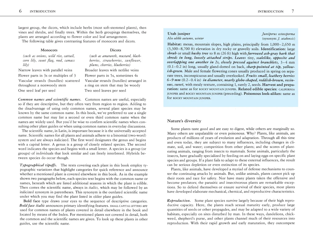 Edible Wild Plants: A North American Field Guide - Image 3