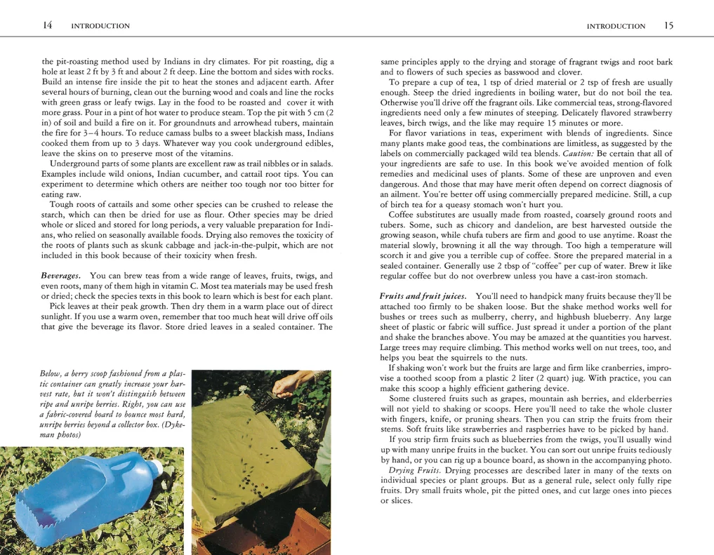 Edible Wild Plants: A North American Field Guide - Image 7