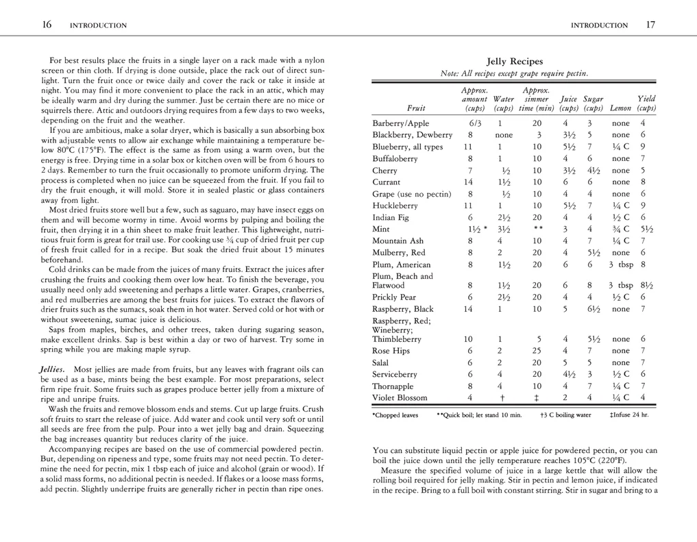 Edible Wild Plants: A North American Field Guide - Image 8