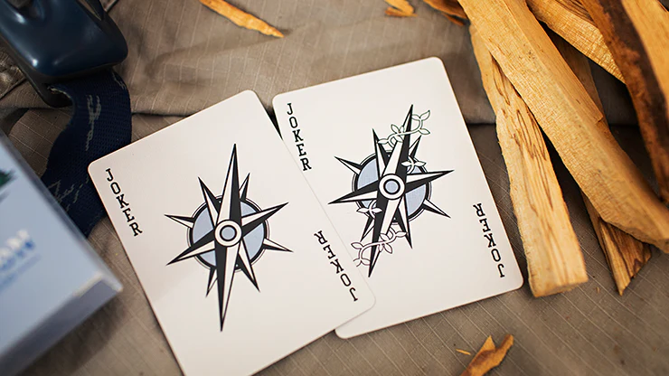 Elevation Day Playing Cards Cartamundi - Image 6