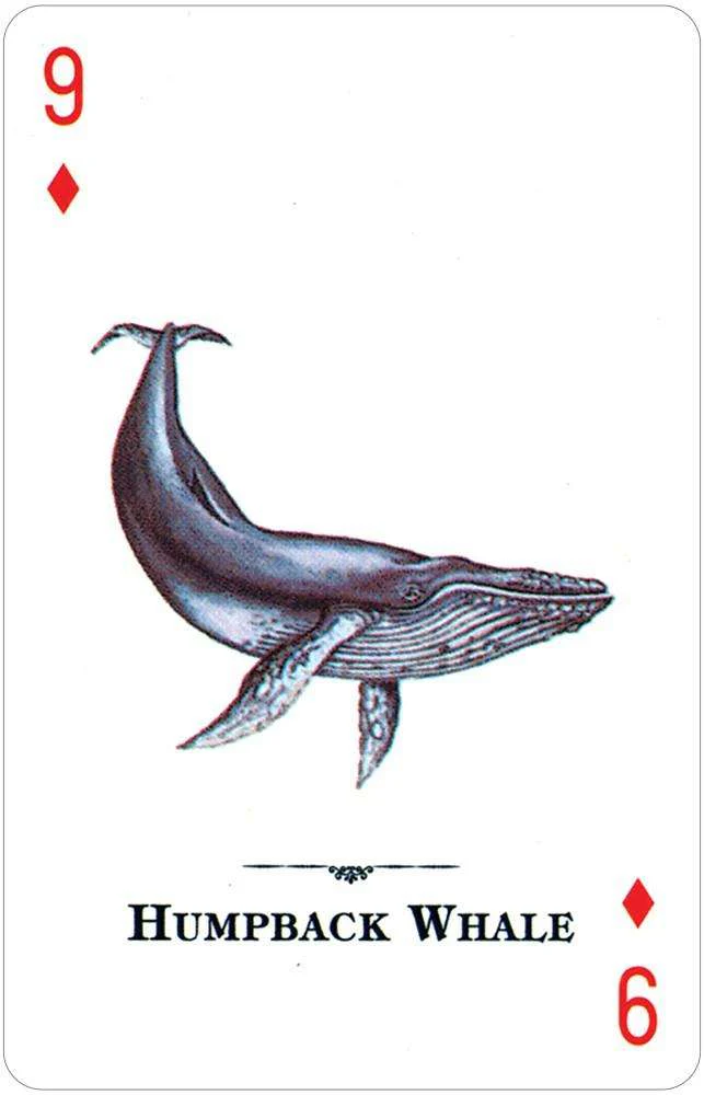 Endangered Species of the Natural World Playing Cards USGS - Image 4