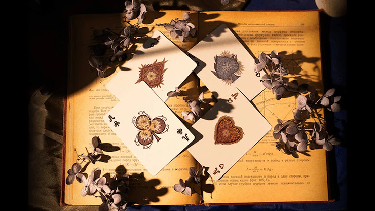 Epiphyllum Playing Cards - Image 5