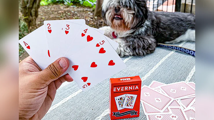 Evernia Playing Cards - Image 2