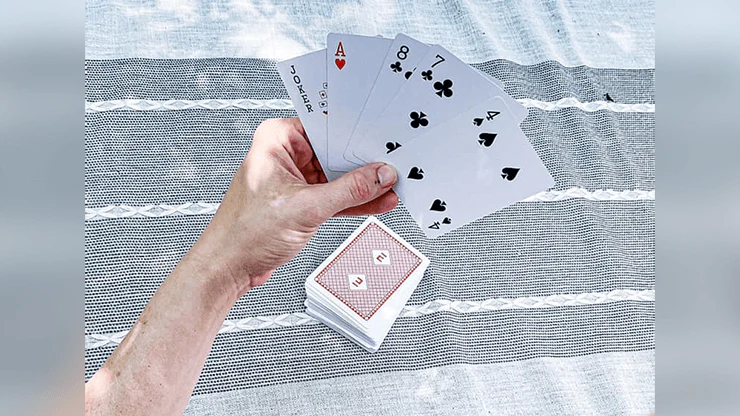 Evernia Playing Cards - Image 3