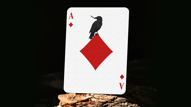 Feather and Bone Chrome Skull Playing Cards - Black - Image 5