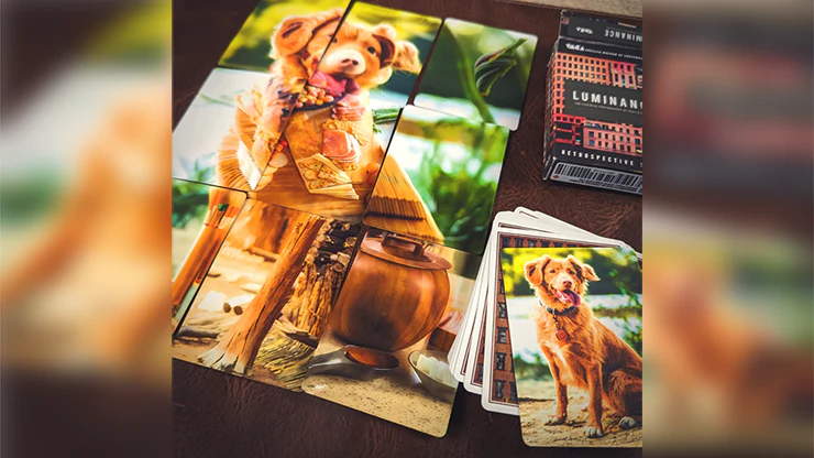 FMPX (Fusion Mosaic Phenomenon) Playing Cards - Image 2