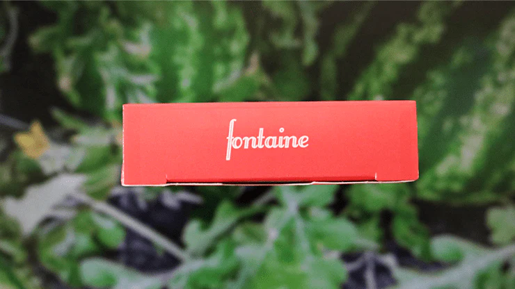 Fontaine Watermelons Playing Cards USPCC - Image 3