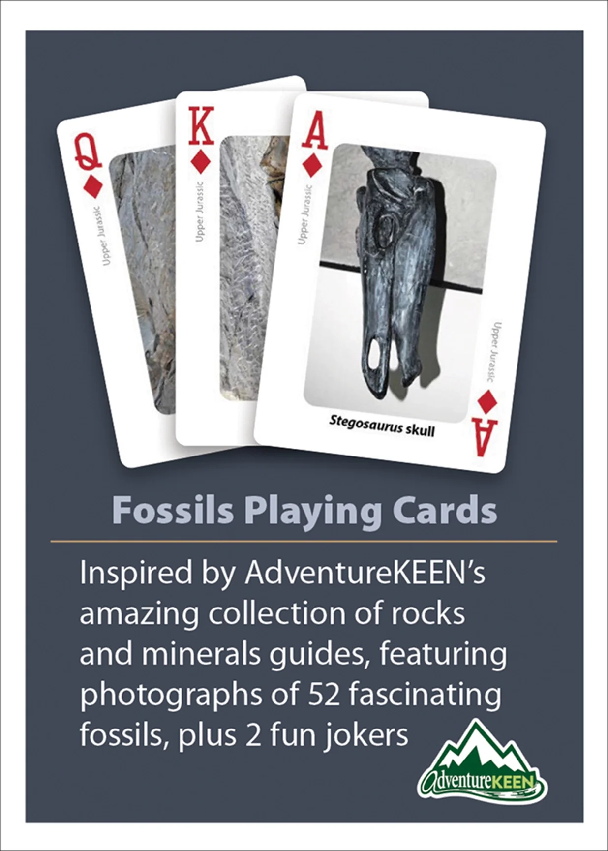 Fossils Playing Cards - Image 3