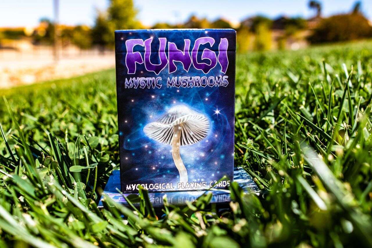 Fungi Mystic Mushrooms Mycological Playing Cards USPCC - Image 10