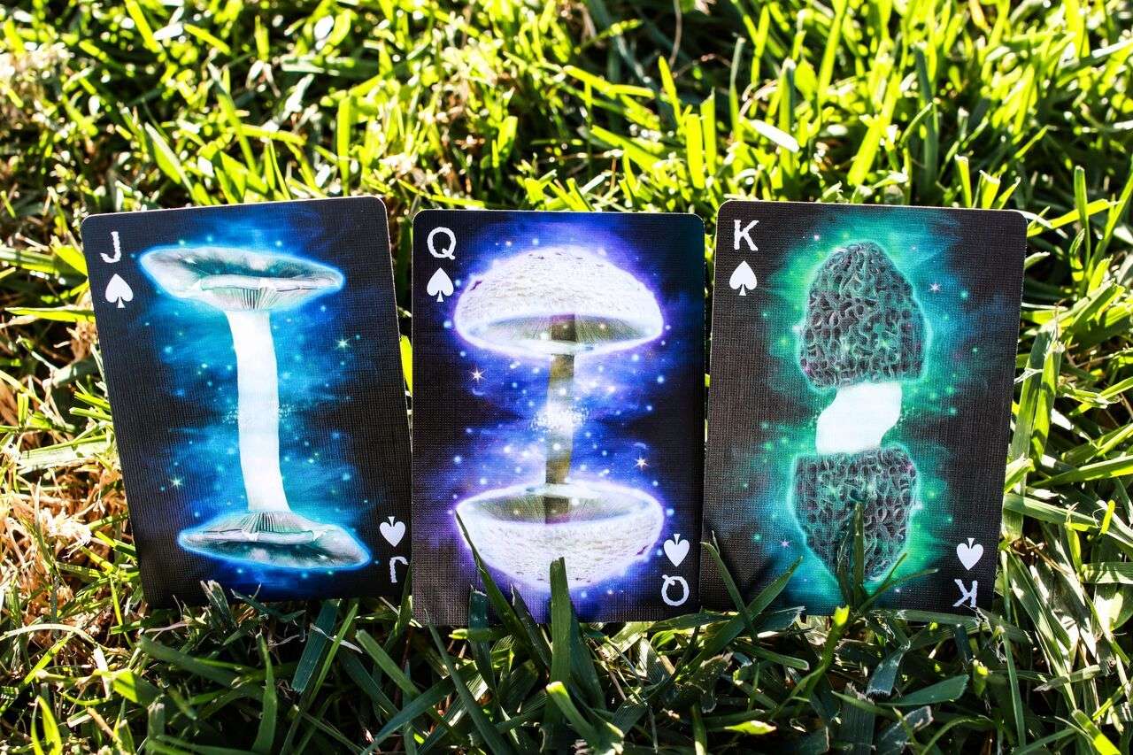 Fungi Mystic Mushrooms Mycological Playing Cards USPCC - Image 5