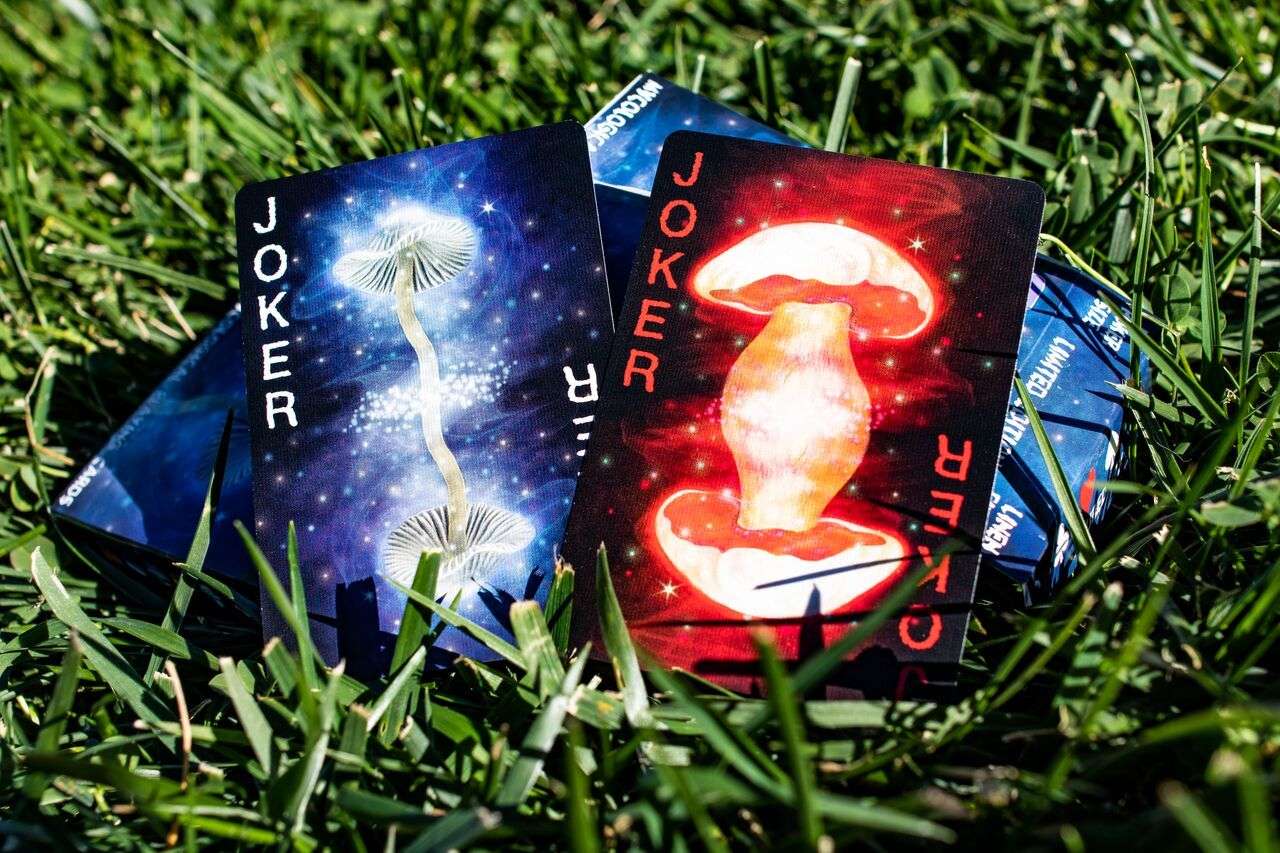 Fungi Mystic Mushrooms Mycological Playing Cards USPCC - Image 8