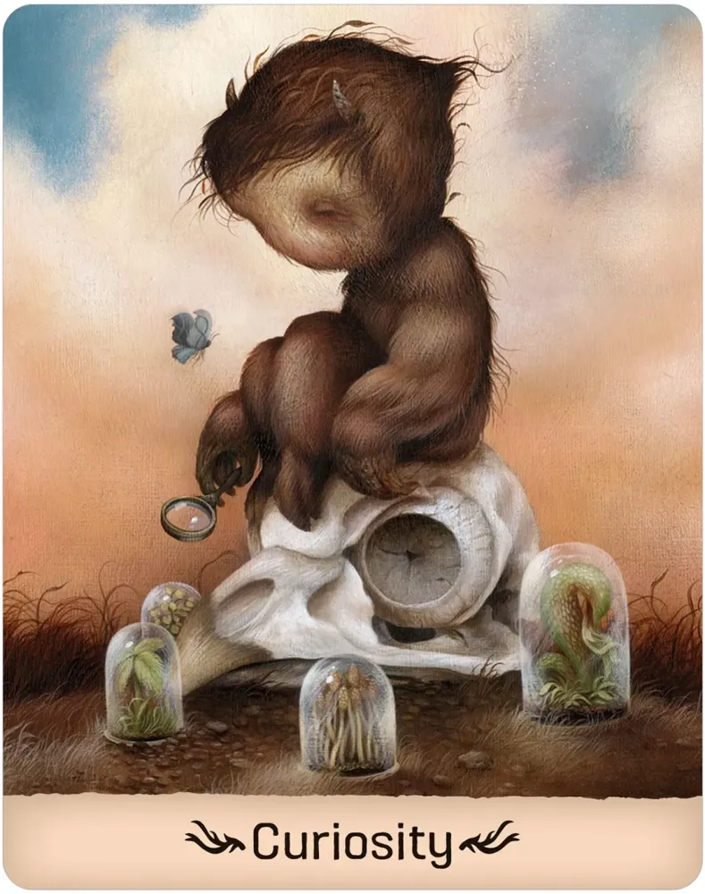 Gentle Creatures Wisdom Deck USGS - Image 6