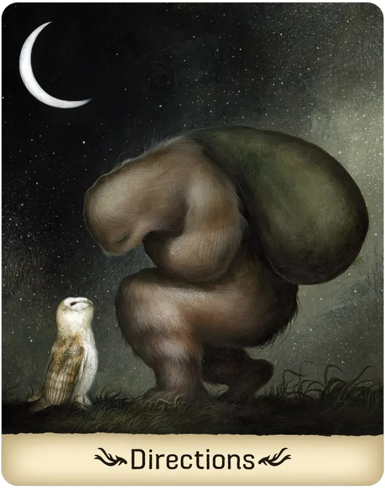 Gentle Creatures Wisdom Deck USGS - Image 7