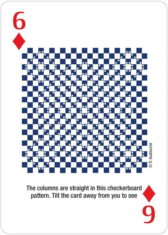Illusions & Visual Oddities #2 Playing Cards USGS - Image 4