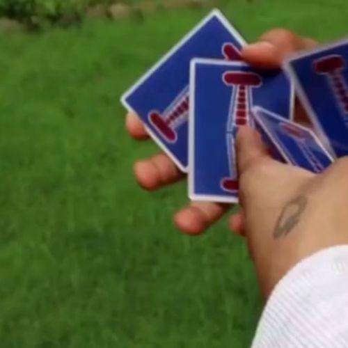 Jerry Nugget Cardistry Trainers - Image 2