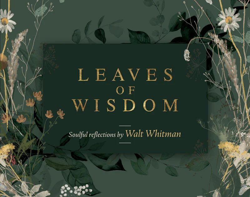 Leaves of Wisdom Cards - Image 2