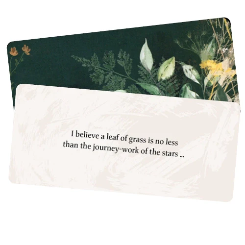 Leaves of Wisdom Cards - Image 5