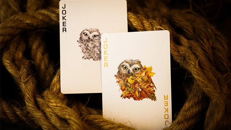 Limited Edition Forest Elf Owl Playing Cards by TCC - Image 4