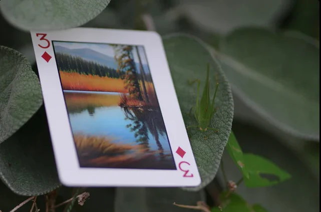 Limited Edition Geo Playing Cards by Tara Studio - Nature's Wonders in Your Hands - Image 5
