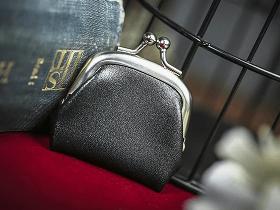 Magician's Coin Purse 3.0