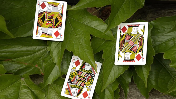 Mantis Playing Cards - Marked - Image 6