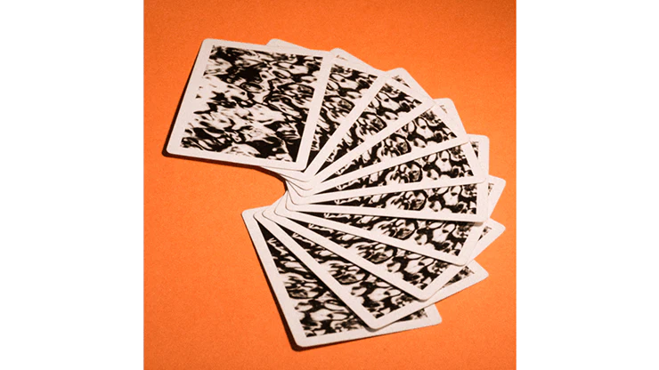 Matter Playing Cards USPCC - Image 6