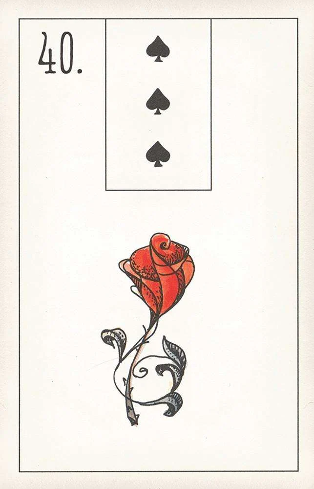 Maybe Lenormand Fortune Telling Deck USGS - Image 6