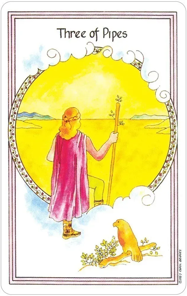 Medicine Woman Tarot Deck by USGS - Image 5