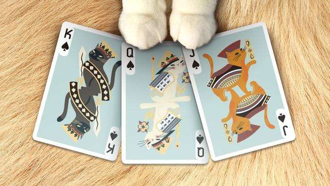 Meow Star Cat Playing Cards USPCC - Image 8