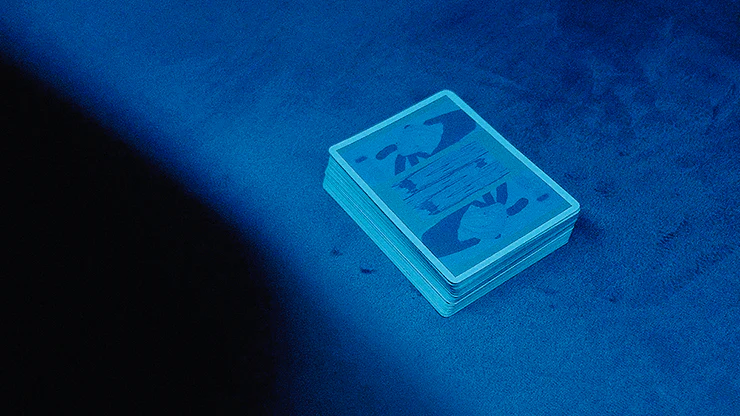Moment X Vivid Playing Cards USPCC - Image 7