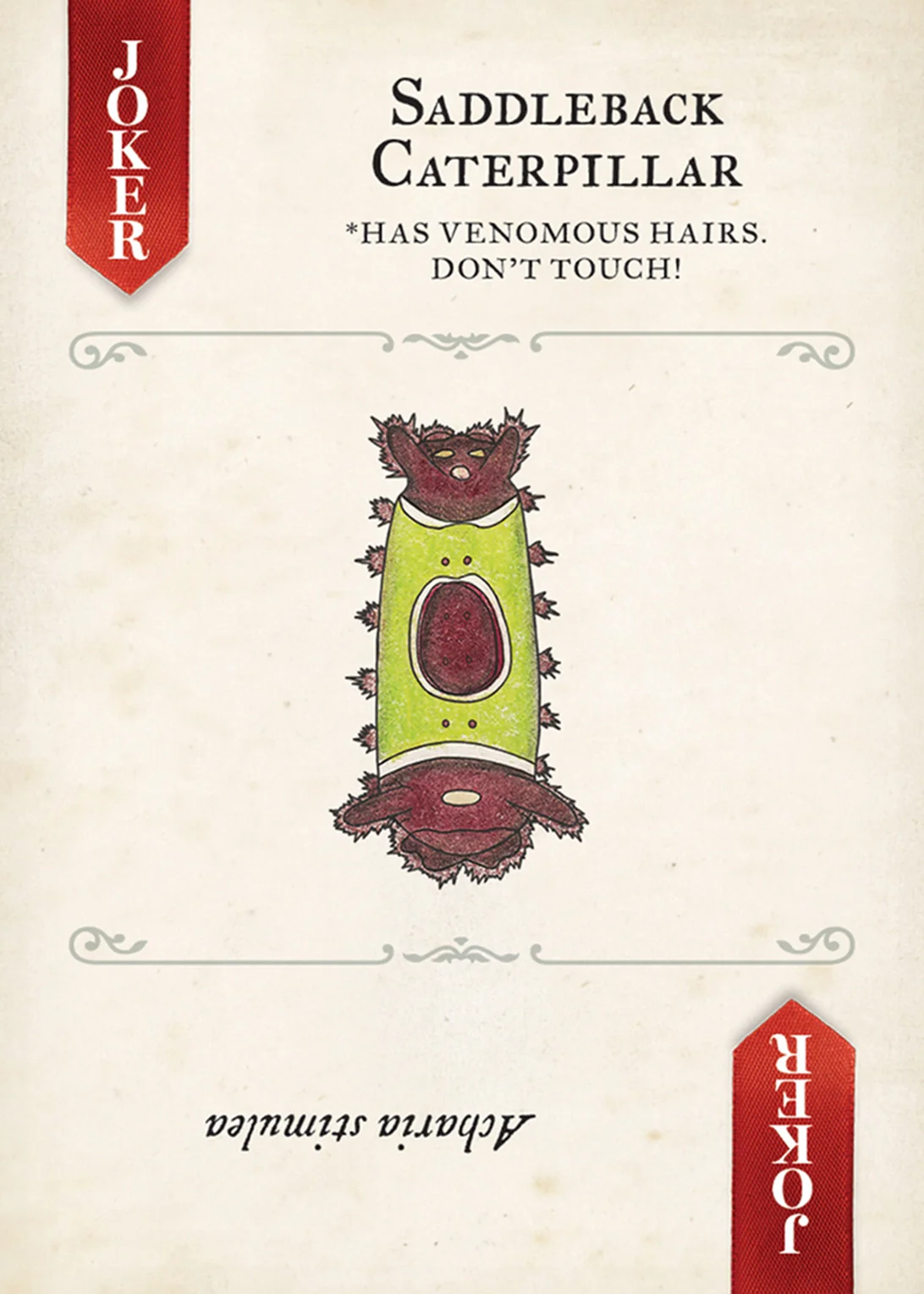 Moths Playing Cards - Image 8