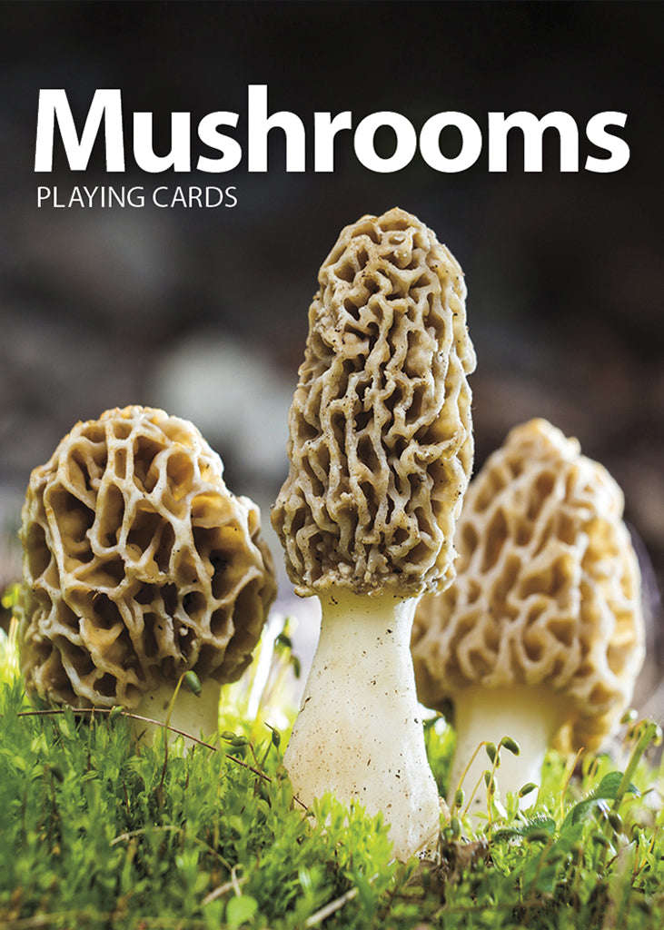 Mushrooms Playing Cards - Image 6