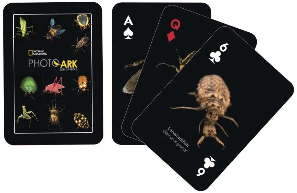 National Geographic Insects Playing Cards NYPC - Image 2