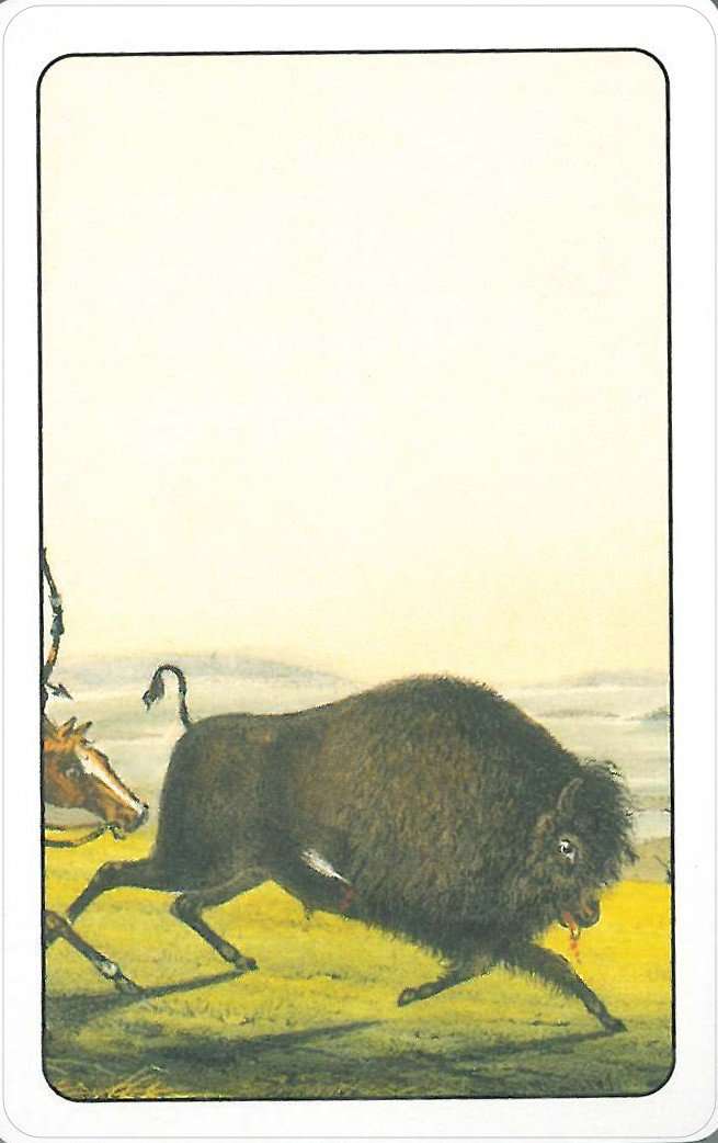 Native American Playing Cards USGS - Image 2