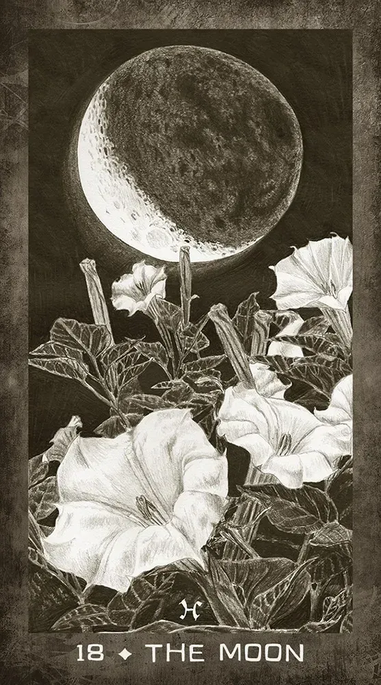 New Era Elements Tarot Deck USGS - Image 3