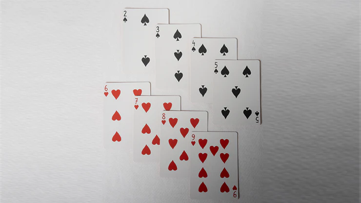 No Borders Edition 2 Maidens Back Playing Cards by Joker and the Thief - Image 3