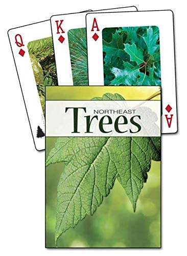 Northeast Trees Playing Cards - Image 2
