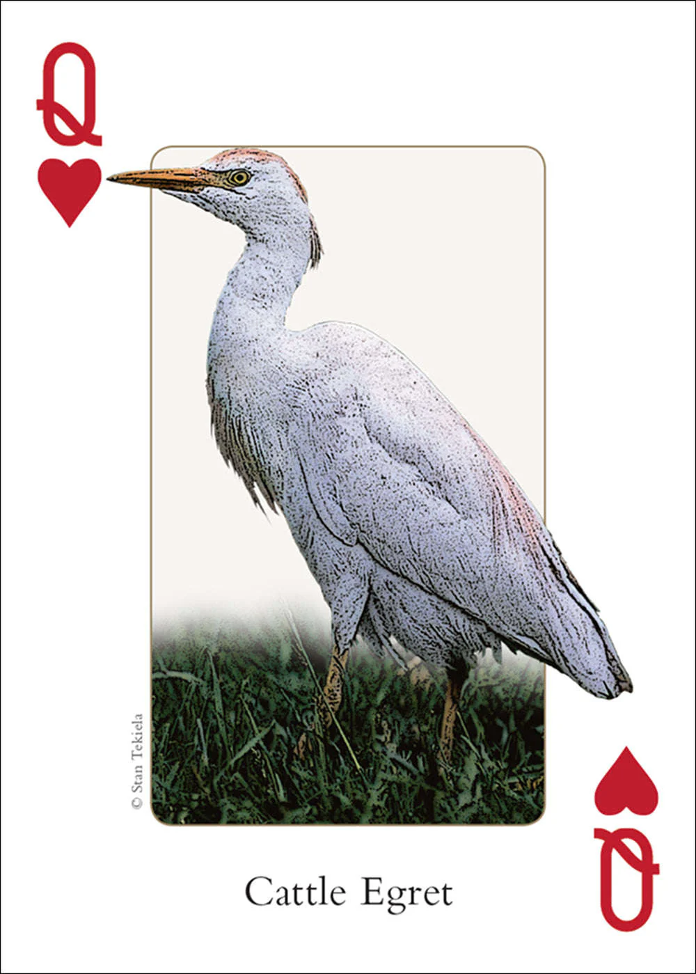 Northwest Birds Playing Cards - Image 2