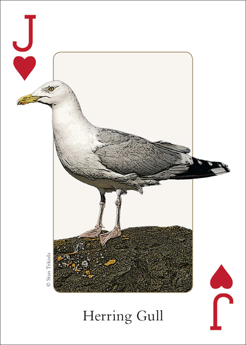 Northwest Birds Playing Cards - Image 3
