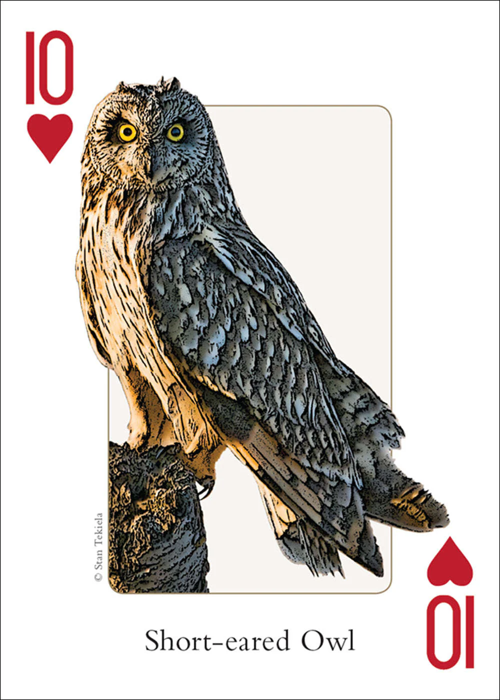 Northwest Birds Playing Cards - Image 4