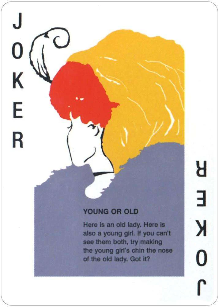Optical Illusions Playing Cards USGS - Image 5
