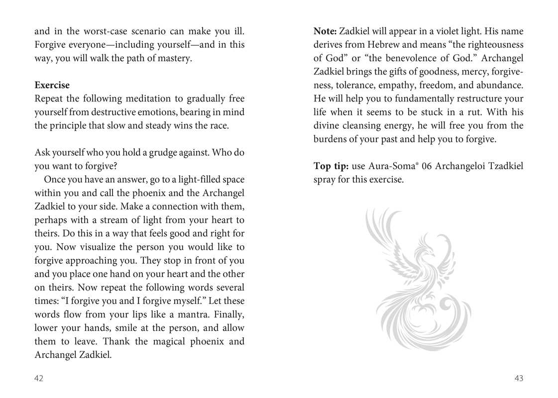 Oracle of the Phoenix by Christine Arana Fader - Image 10