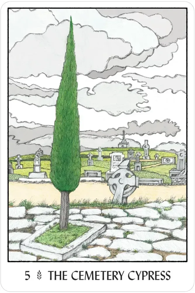 Oracle of the Trees - Image 5
