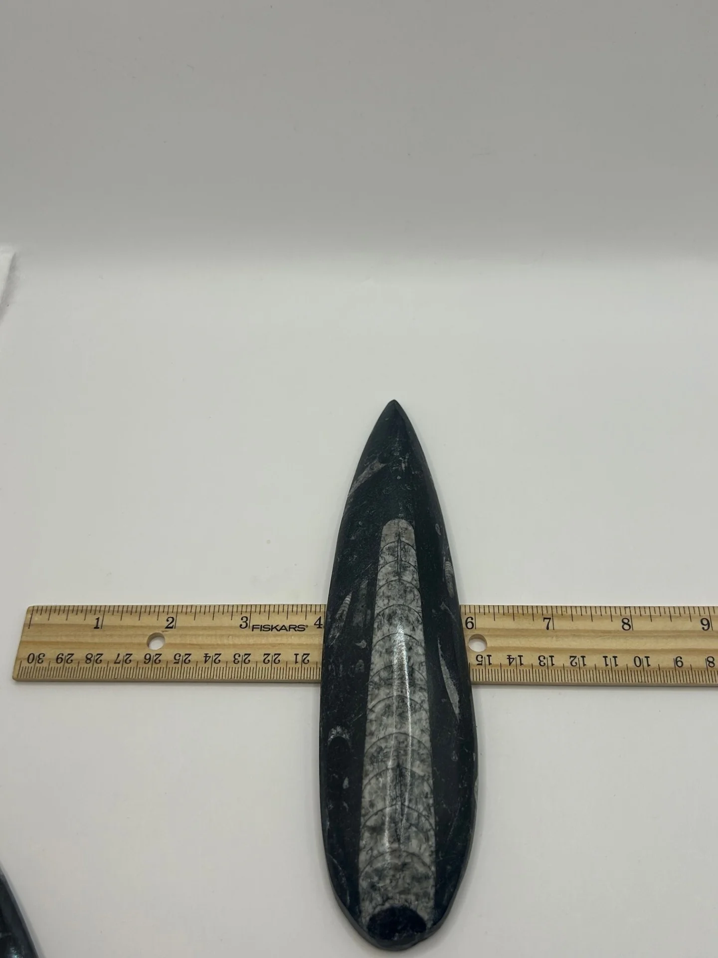 Orthoceras Fossil Spear - Image 3