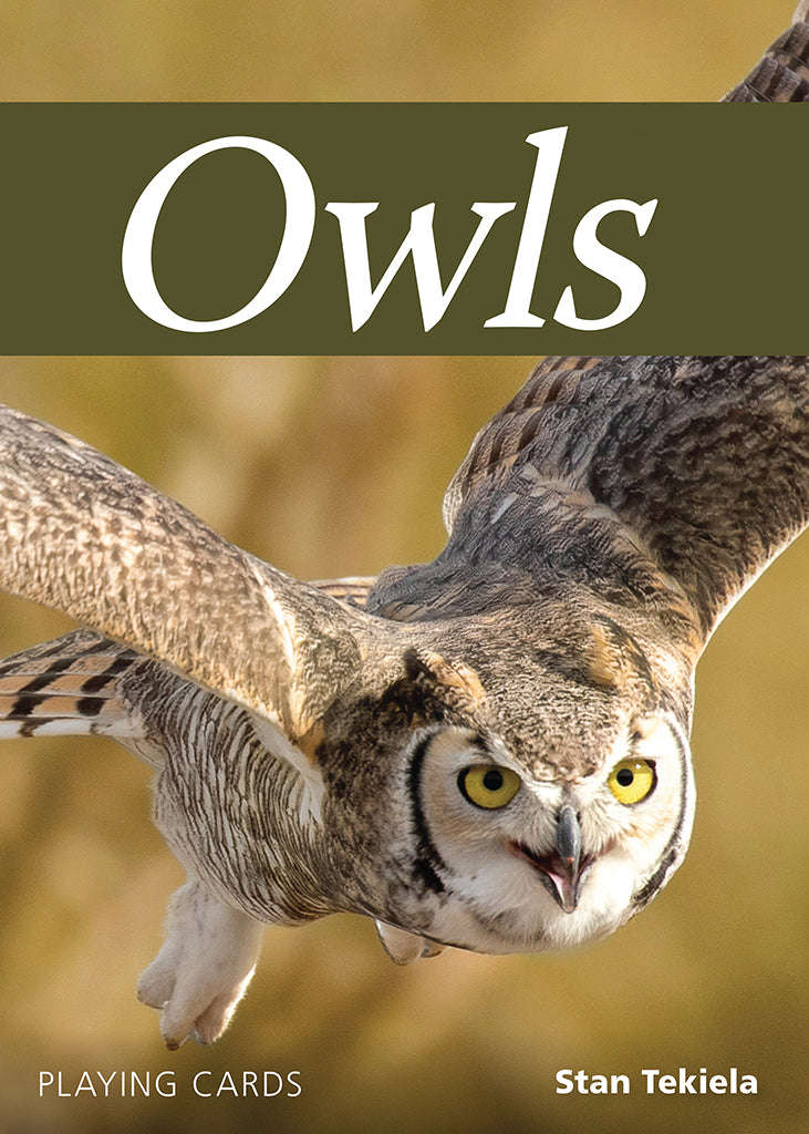 Owls Playing Cards - Image 6