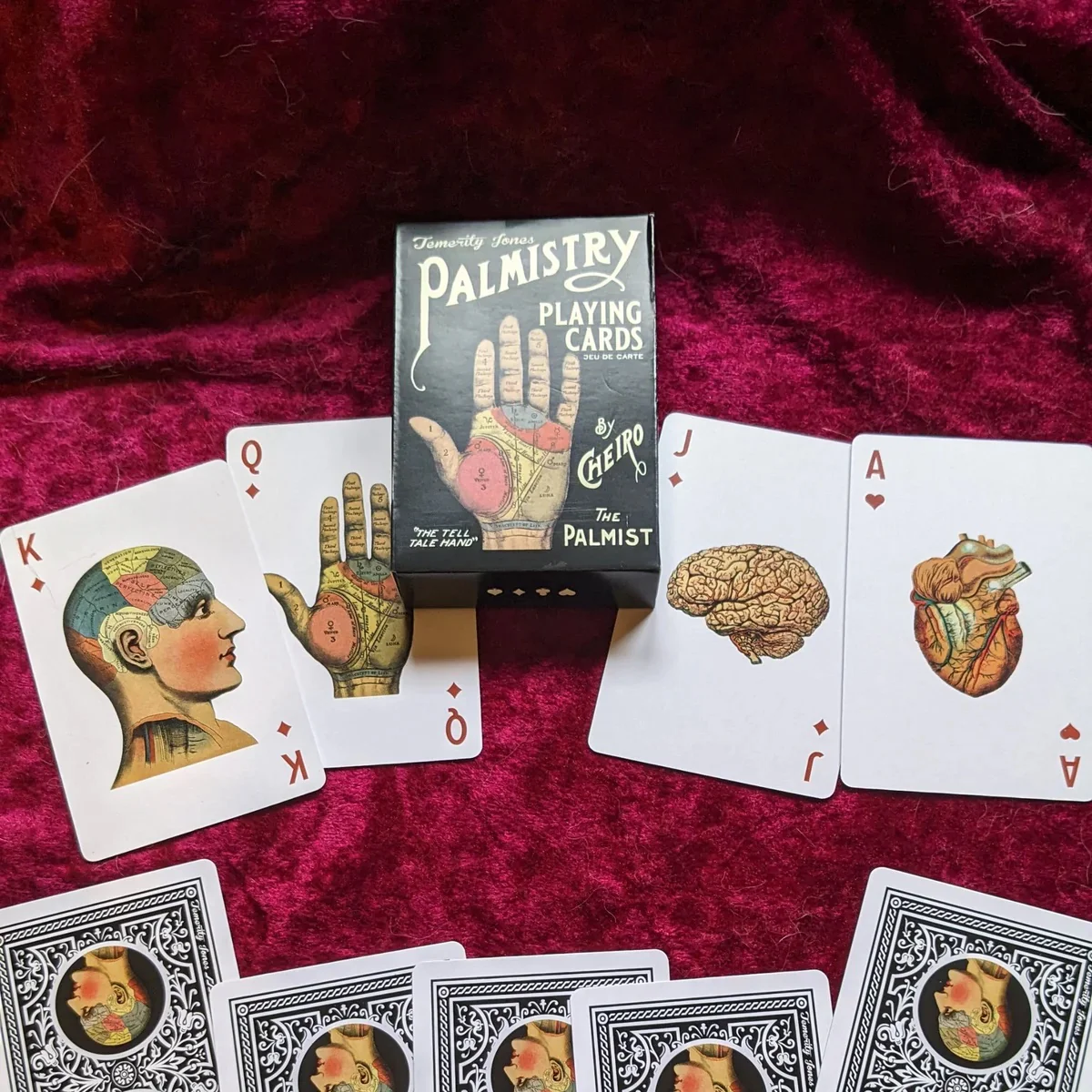 Palmistry & Phrenology Collectible Playing Cards by Temerity Jones of London - Image 4