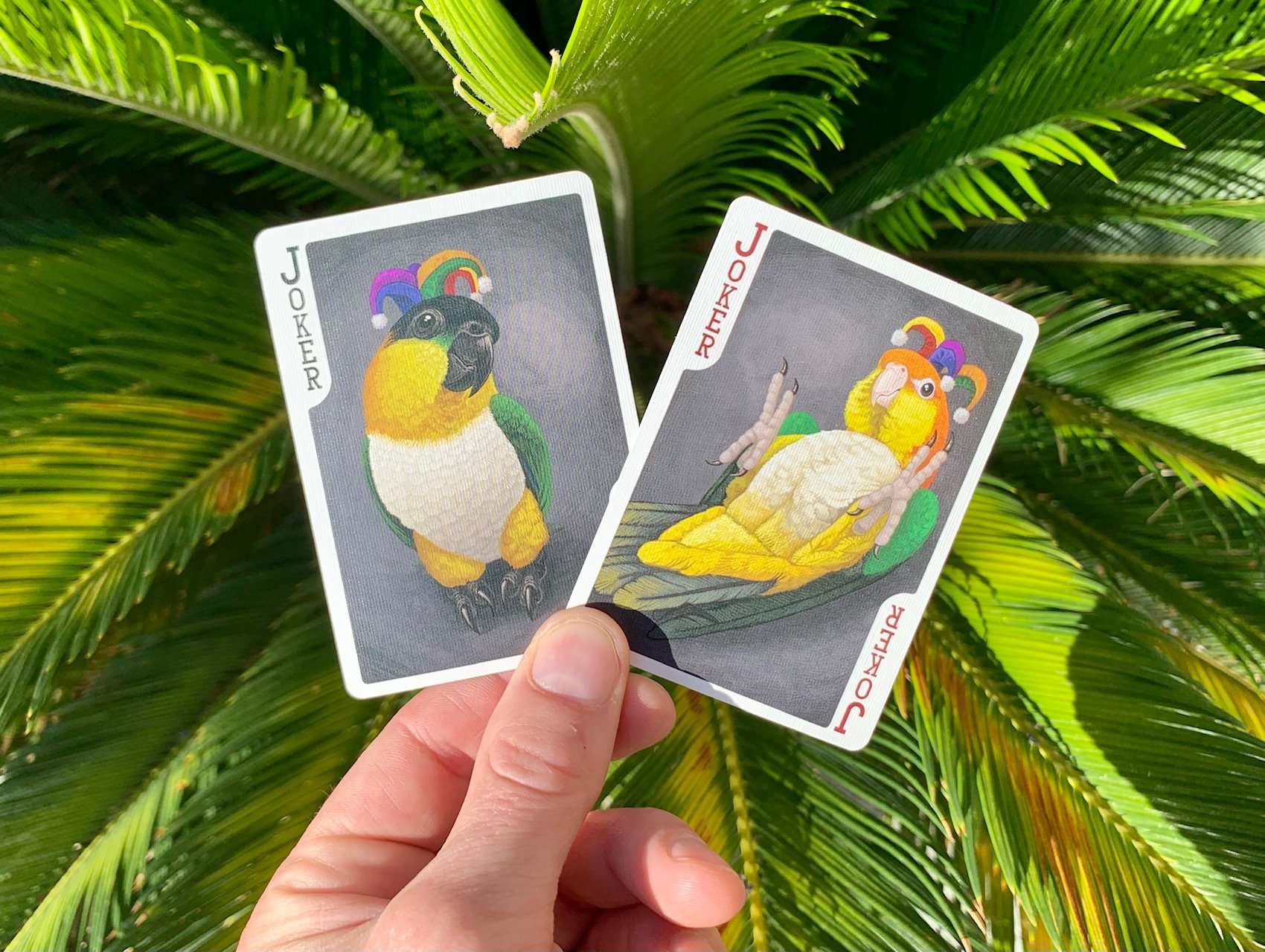 Parrot Extinct Bicycle Playing Cards - Image 4